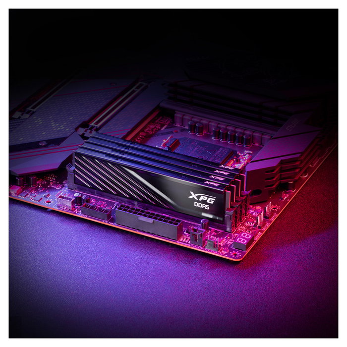 XPG Lancer Blade Kit de 32 GB RAM DDR5 (2x 16 GB) 6400 MHz para PC, Intel XMP y AMD EXPO, 288-pin DIMM, 39 CL, Referencia AX5U6400C3216G-DTLABBK