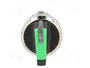 SIEMENS Interruptor Rotativo 22mm Verde 2 Posiciones