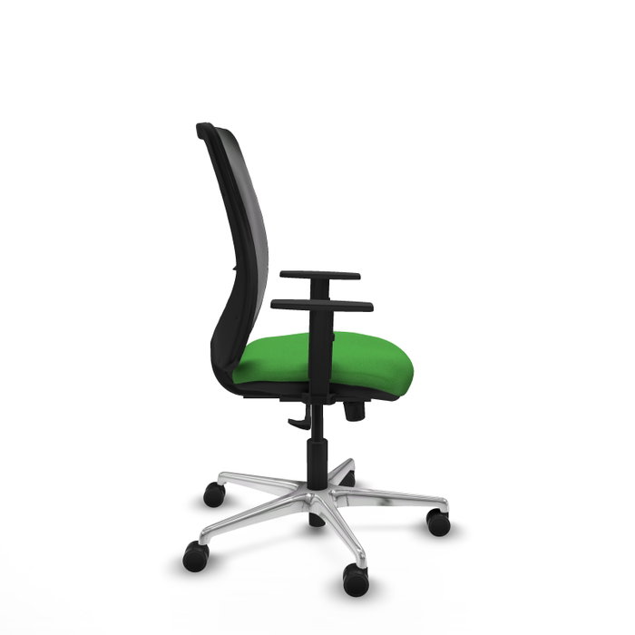 PIQUERAS Y CRESPO Silla de oficina Zulema con mecanismo Sincro, Verde y Negro PIQUERAS Y CRESPO Silla de oficina Zulema con mecanismo Sincro, Verde y Negro