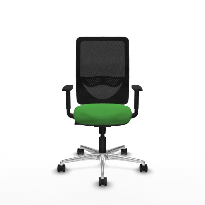 PIQUERAS Y CRESPO Silla de oficina Zulema con mecanismo Sincro, Verde y Negro PIQUERAS Y CRESPO Silla de oficina Zulema con mecanismo Sincro, Verde y Negro