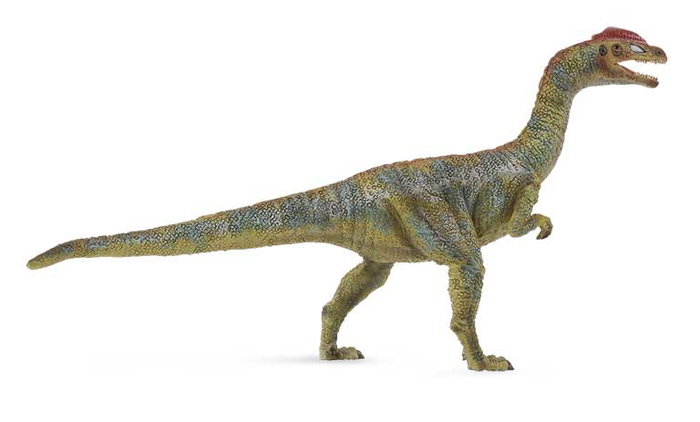 Collecta L-88509 Animal Prehistórico Drop Liliensternus Escala L Collecta L-88509 Animal Prehistórico Drop Liliensternus Escala L