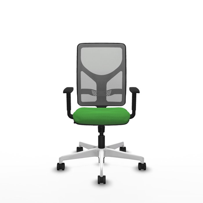 PIQUERAS Y CRESPO Silla de oficina Motilla con mecanismo Sincro, Verde y Gris PIQUERAS Y CRESPO Silla de oficina Motilla con mecanismo Sincro, Verde y Gris