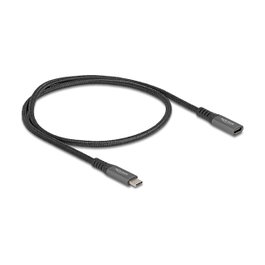 DeLOCK Cable de Extensión USB Type-C Macho a Hembra 10 Gbps 100 W 0,5 m Gris Metal