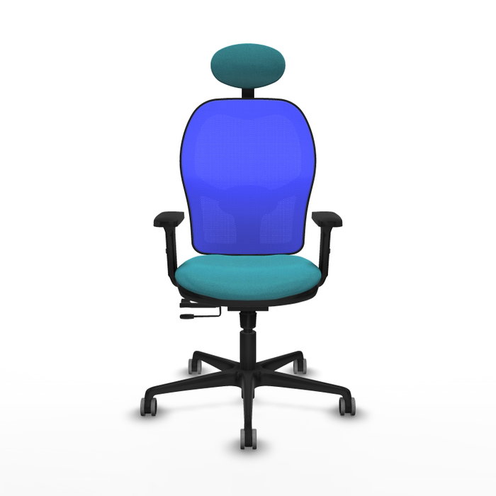 PIQUERAS Y CRESPO Silla de oficina Jorquera con mecanismo Sincro/Traslack Turquesa y Azul PIQUERAS Y CRESPO Silla de oficina Jorquera con mecanismo Sincro/Traslack Turquesa y Azul