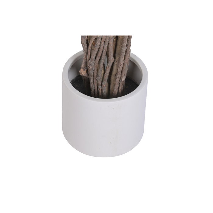 DKD Home Decor Árbol de Higuera de Bengala en Poliéster, 85x85x187 cm DKD Home Decor Árbol de Higuera de Bengala en Poliéster, 85x85x187 cm