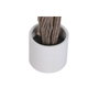 DKD Home Decor Árbol de Higuera de Bengala en Poliéster, 85x85x187 cm