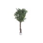 DKD Home Decor Árbol de Higuera de Bengala en Poliéster, 85x85x187 cm