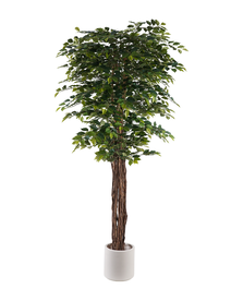 DKD Home Decor Árbol de Higuera de Bengala en Poliéster, 85x85x187 cm