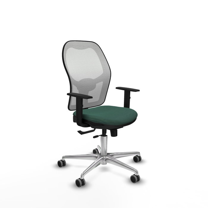 PIQUERAS Y CRESPO Silla de oficina Jorquera con mecanismo Sincro/Traslack, Verde botella y Blanco PIQUERAS Y CRESPO Silla de oficina Jorquera con mecanismo Sincro/Traslack, Verde botella y Blanco