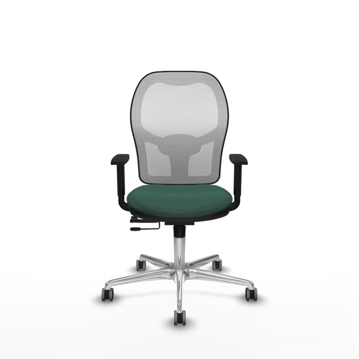 PIQUERAS Y CRESPO Silla de oficina Jorquera con mecanismo Sincro/Traslack, Verde botella y Blanco PIQUERAS Y CRESPO Silla de oficina Jorquera con mecanismo Sincro/Traslack, Verde botella y Blanco