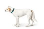 Hunter Collar Vario Basic M Turquesa 33-50 cm Cuello Transpirable Refrescante Ligero Material Malla 3D