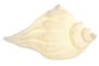 DKD Home Decor Decoración Luminosa Porcelana Caracola Blanco