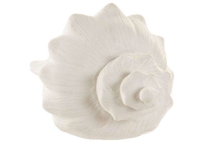 DKD Home Decor Decoración Luminosa Porcelana Caracola Blanco