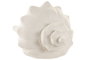 DKD Home Decor Decoración Luminosa Porcelana Caracola Blanco