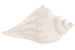 DKD Home Decor Decoración Luminosa Porcelana Caracola Blanco