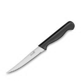 DEGLON Cuchillo para Tomate Microdentado, Acero Inoxidable, 10 cm