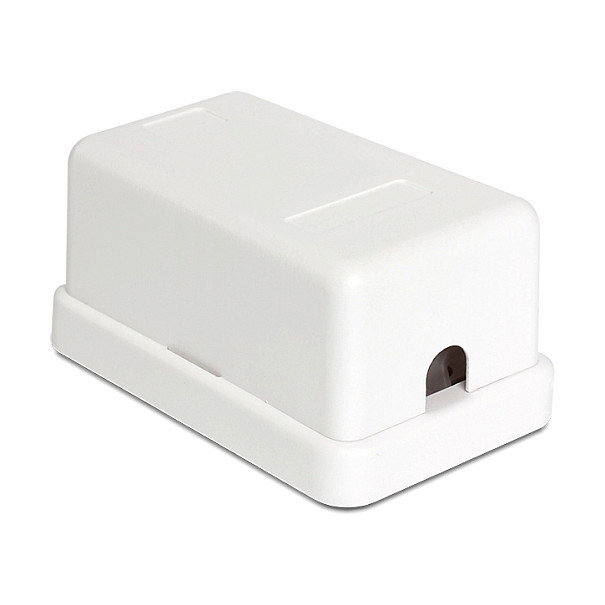 DeLOCK 86226 Keystone Leergehäuse 1 Port Blanco
