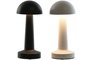 DKD Home Decor Lámpara de Sobremesa LED Metal Táctil Recargable (Surtido de 2 unidades)