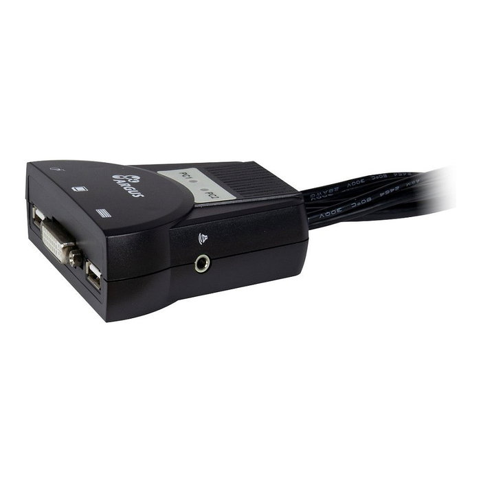 Inter-Tech LS-21DA DVI Switch KVM de 2 puertos