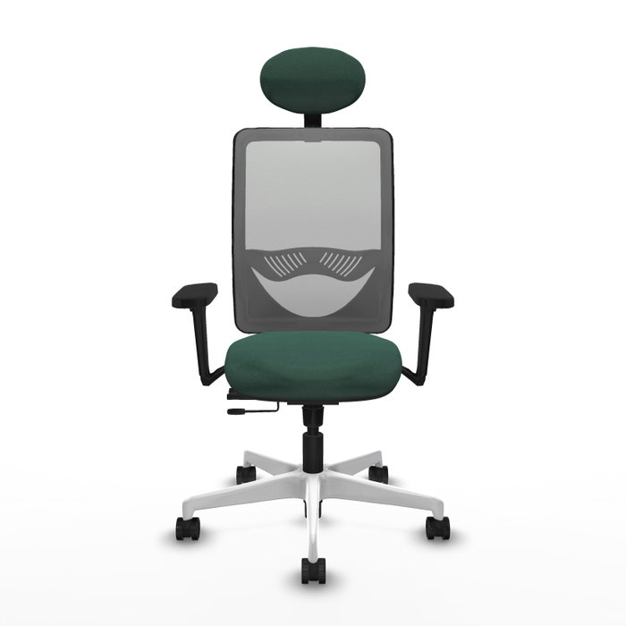 PIQUERAS Y CRESPO Silla de oficina Zulema con mecanismo Sincro/Traslack, Verde botella y Gris PIQUERAS Y CRESPO Silla de oficina Zulema con mecanismo Sincro/Traslack, Verde botella y Gris