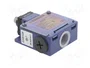 TELEMECANIQUE SENSORS Interruptor de fin de carrera espárrago Ø10mm NO + NC 10A