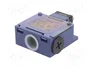 TELEMECANIQUE SENSORS Interruptor de fin de carrera espárrago Ø10mm NO + NC 10A