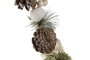 DKD Home Decor Guirnalda Navidad Alpina Verde Natural Piña 8 x 150 x 8 cm (2 Unidades)