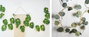 DKD Home Decor Guirnalda LED de Hojas Tropicales y Eucalipto Verde