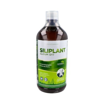 SILICIUM LABORATORIE Siliplant Silicium G7 Dinamizado 1L