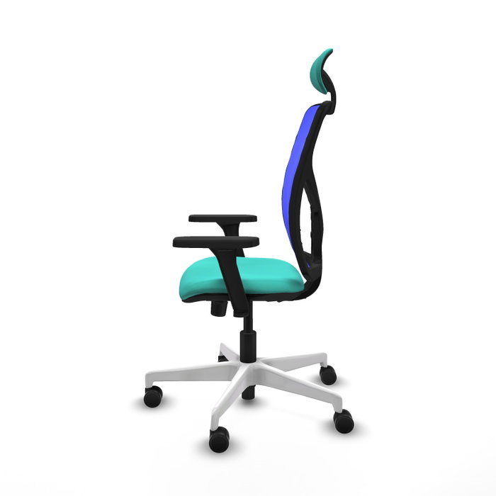 PIQUERAS Y CRESPO Silla de oficina Motilla con mecanismo Sincro, Turquesa y Azul PIQUERAS Y CRESPO Silla de oficina Motilla con mecanismo Sincro, Turquesa y Azul