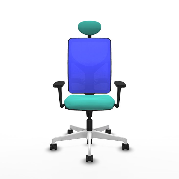 PIQUERAS Y CRESPO Silla de oficina Motilla con mecanismo Sincro, Turquesa y Azul PIQUERAS Y CRESPO Silla de oficina Motilla con mecanismo Sincro, Turquesa y Azul