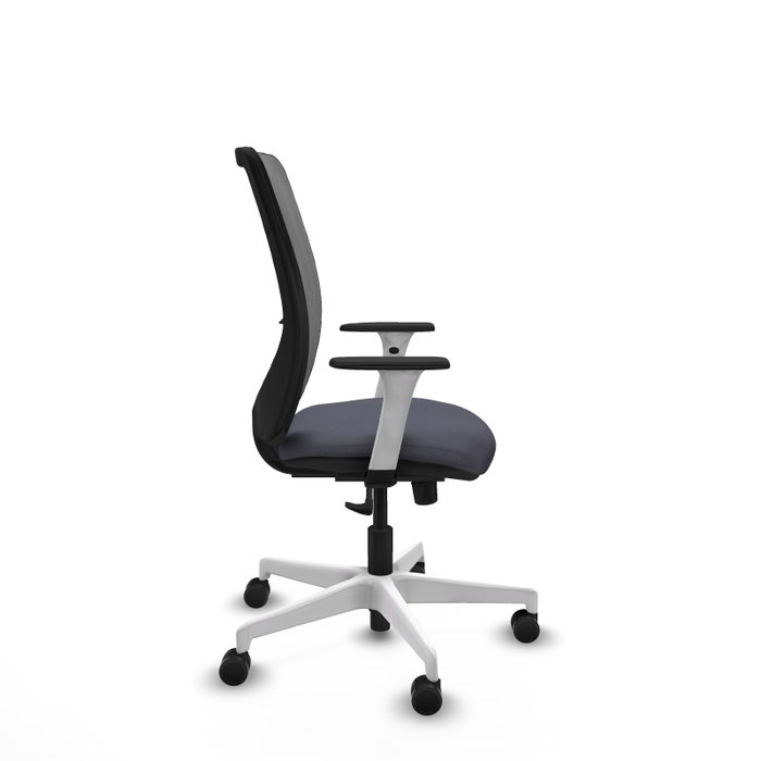 PIQUERAS Y CRESPO Silla de oficina Zulema con mecanismo Sincro, Gris PIQUERAS Y CRESPO Silla de oficina Zulema con mecanismo Sincro, Gris