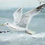 DKD Home Decor Cuadro Lienzo Gaviotas Set de 2 Unidades 140x70 cm
