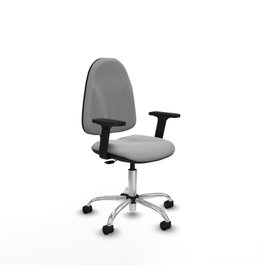 PIQUERAS Y CRESPO Silla de oficina Algarra Gris claro con Brazos 2D y Base cromada