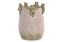 DKD Home Decor Jarrón de Cemento con Diseño de Ranas, Gris y Verde