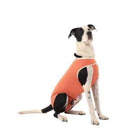 Luna & Milo Body de Cobre para Castración Talla 7