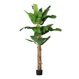 Planta Platanero Verde Poliester 200 X 320 cm