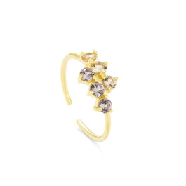 Radiant Anillo Gold con Piedras Color Fantasy Dorado Talla 56