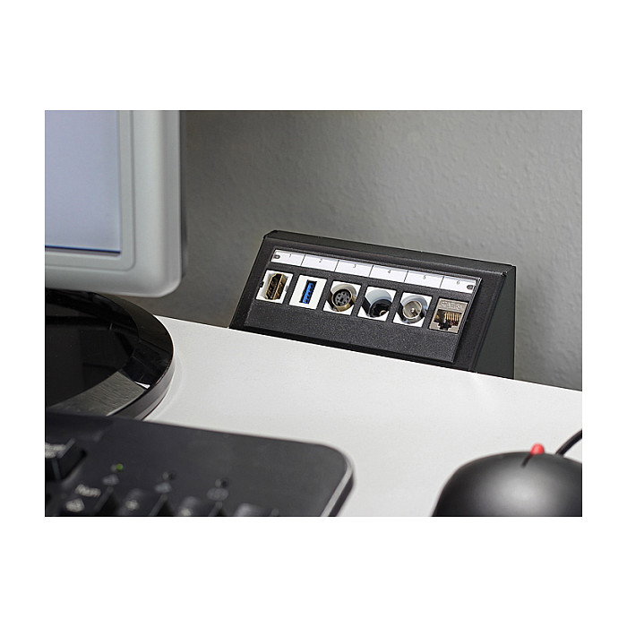 DeLOCK Keystone Multimedia Panel 6 Puertos - Panel de Conexión para Red y Multimedia de 6 Puertos, Negro (86268)