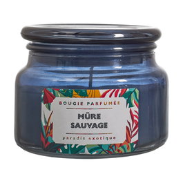 Home Deco Factory Vela Perfumada Paradis Exotique