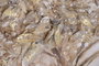 DKD Home Decor Cuadro Lienzo Árbol Pintado a Mano Beige 120x70x3,7 cm