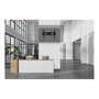 Neomounts WL35-750BL18 Soporte de pared inclinable para TV o monitor de 55" a 98" (2.49m), hasta 125kg, VESA 100x100 a 800x600, Negro