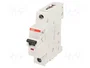 ABB S201-C13 Miniatur-Leistungsschalter 6000 A IP20