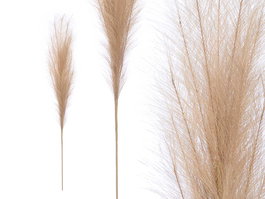 Giftdecor Rama Decorativa 110 cm Taupe Plástico y Metal Marrón (Set de 24)
