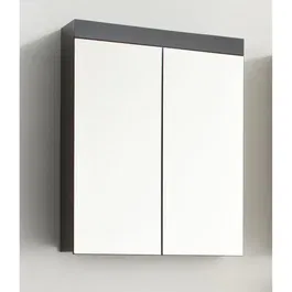 Trendteam Mueble de Baño Amanda 2 Puertas Espejo Gris 60x17x77cm