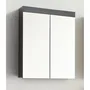 Trendteam Mueble de Baño Amanda 2 Puertas Espejo Gris 60x17x77cm