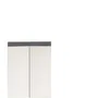 Trendteam Mueble de Baño Amanda 2 Puertas Espejo Gris 60x17x77cm