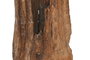 DKD Home Decor Escultura Teca Tallada Marrón 28x20x137 cm