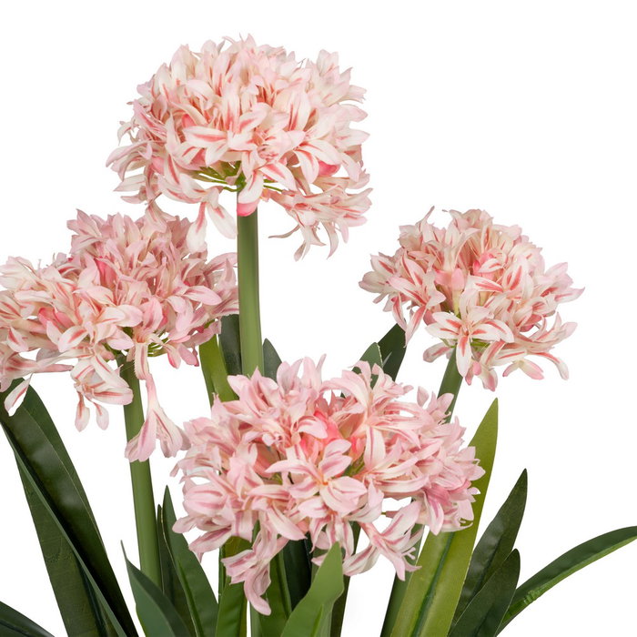 Planta Jacinto Verde-Rosa Polietileno 100 cm