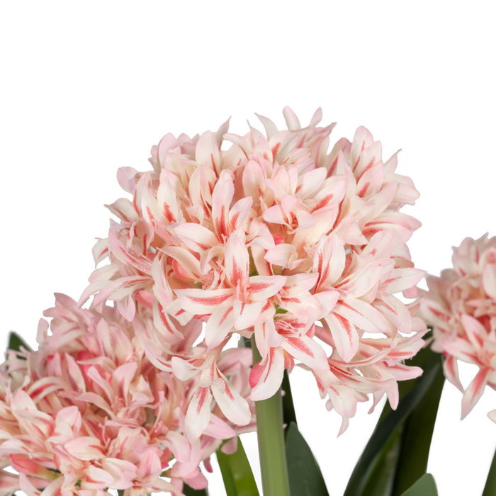 Planta Jacinto Verde-Rosa Polietileno 100 cm